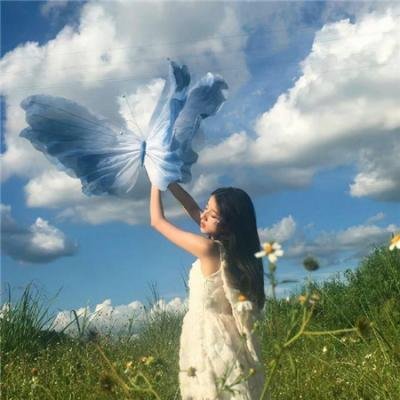 灵通汪星人